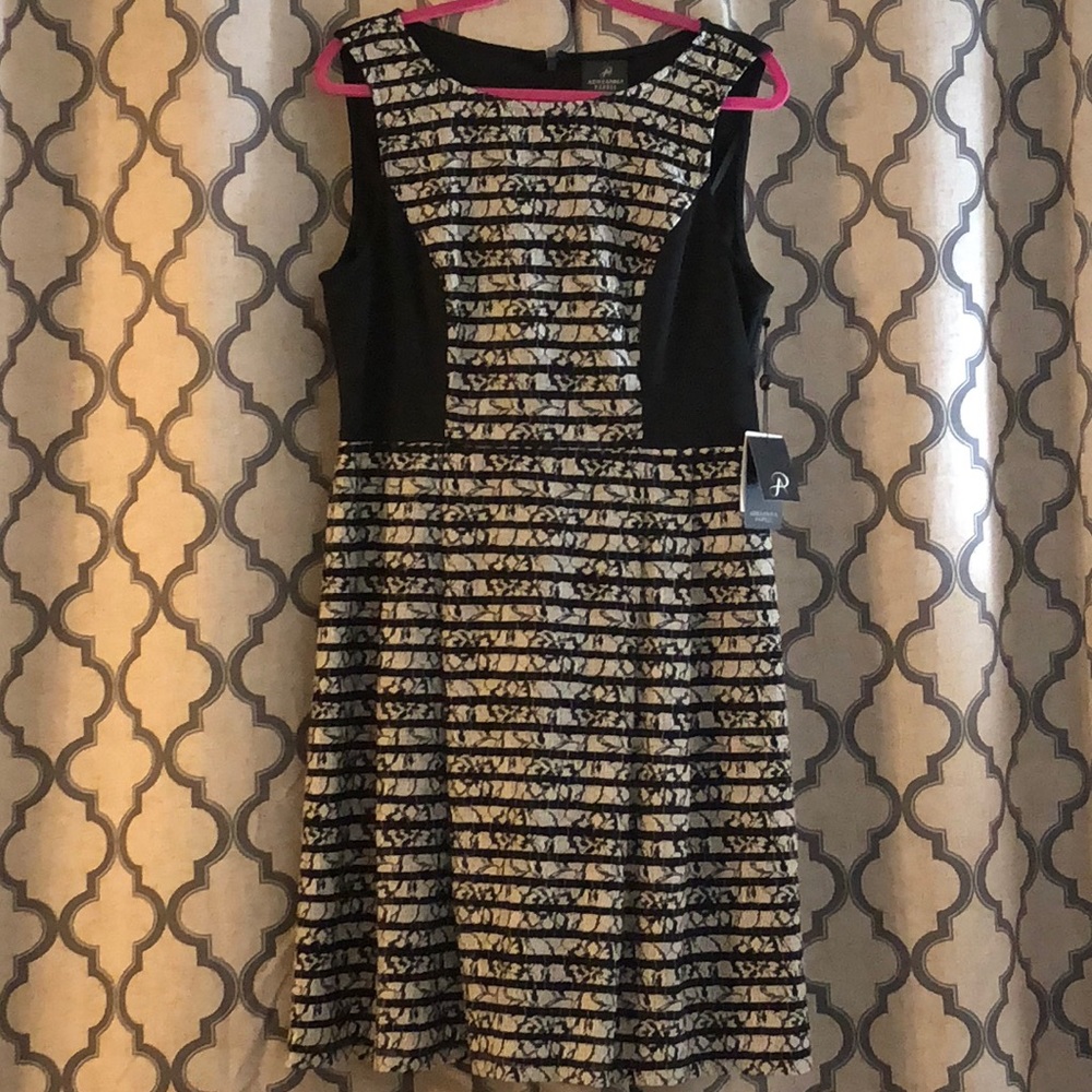 BRAND NEW Adrianna Papell black & white dress.